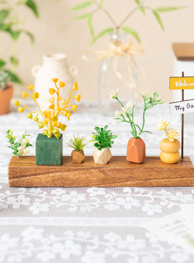 阿楹 客厅艺术玄关摆件拍照微缩 办工作桌植物角假花斗柜书架装饰