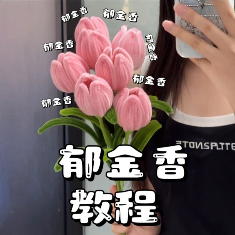 郁金香扭扭棒花束DIY手工编织