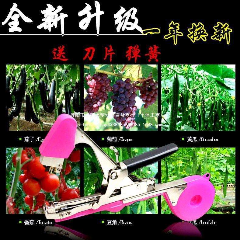 绑枝机葡萄绑枝机绑枝神器胶带西红柿猕猴桃绑枝机绑蔓器捆绑扎机