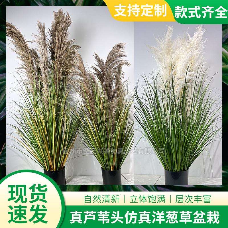 跨境仿真植物假绿植造景 人造洋葱草仿真盆栽 真芦苇头潘帕斯草