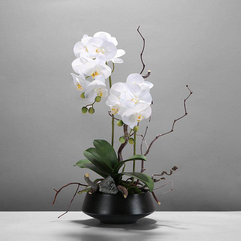 新中式仿真蝴蝶兰白色永生苔藓绿植花艺摆件样板间售楼部洽谈桌