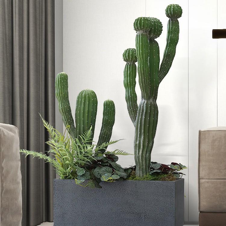 仿真植物仙人掌盆景假绿植室内家居玄关落地橱窗装饰摆件