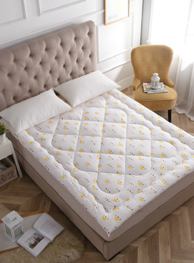 新品夏被棉花内芯空调夏凉被单双人薄被子150x180x200x230cm