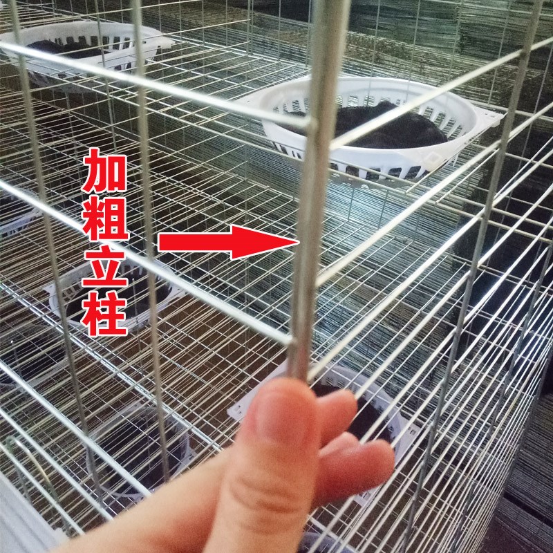 鸽子笼大型鸽笼用具9位12位16位加粗大号配对笼繁殖笼肉鸽养殖笼