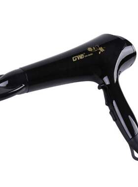 丽园家新8828D吹风机温控过热保护 六挡调节大功率发廊家用吹风机