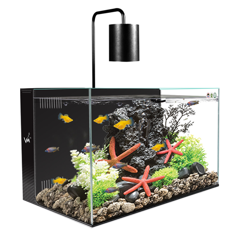 鱼缸超白背滤小型客厅生态养鱼桌面缸免换水懒人造景自循环水草缸