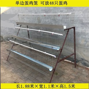 包邮镀锌养殖专用蛋鸡笼阶梯式单边3层双边4层笼家用鸡笼自动出蛋