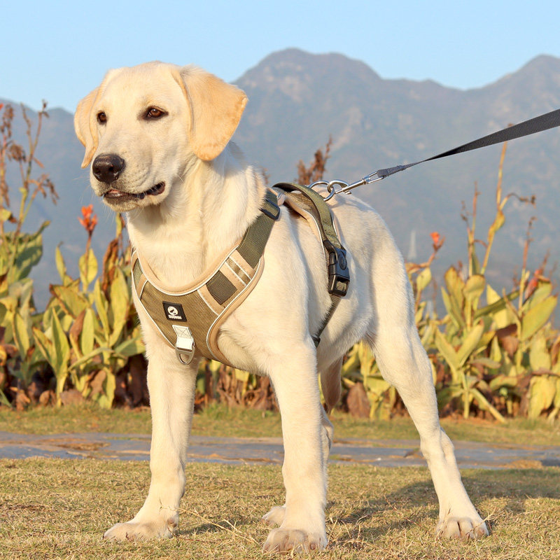 狗狗牵引绳背心式防爆冲r胸背带中型大型犬拉布拉多金毛大狗遛狗