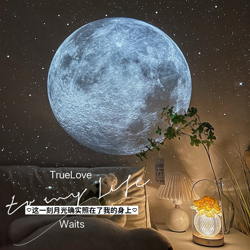 天上月亮星空投影灯流星动态灯D带房间氛围灯卧室小夜灯礼物