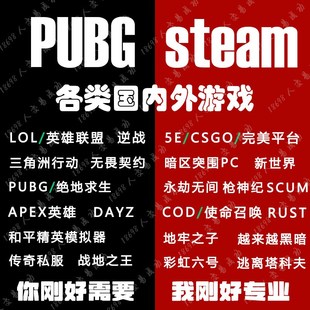 电脑机器LOL三角洲PUBG无畏契约CzSGO和平精英APEX枪神纪修改5E码