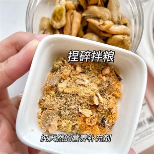 冻干青口贝宠物零食狗狗猫咪拌粮奖励小型犬补充软骨素保护关节