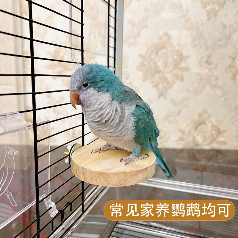 鹦鹉实木站台牡丹虎皮玄凤文鸟笼内跳台站板攀爬玩耍鸟用品鸟玩具