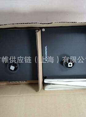 价格需核实 SCHMERSAL 安全门开关 型号：AZM 300Z-ST-1P2P-DU