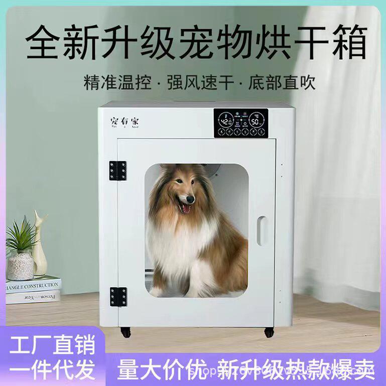 海外热卖宠物烘干箱中型犬洗澡吹干神器低噪速干家用宠物店全自动