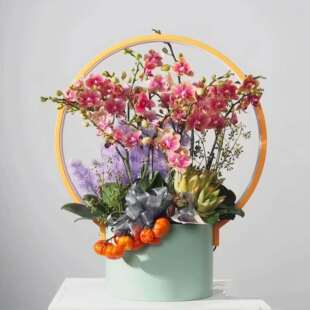 新中式蝴蝶兰花盆25口径带灯冬青银柳年宵花插花新年福桶金属铁艺