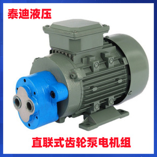 置YS7124 ZBZ 试压泵输油泵电机装 直联式 0.37KW 4齿轮泵电机组