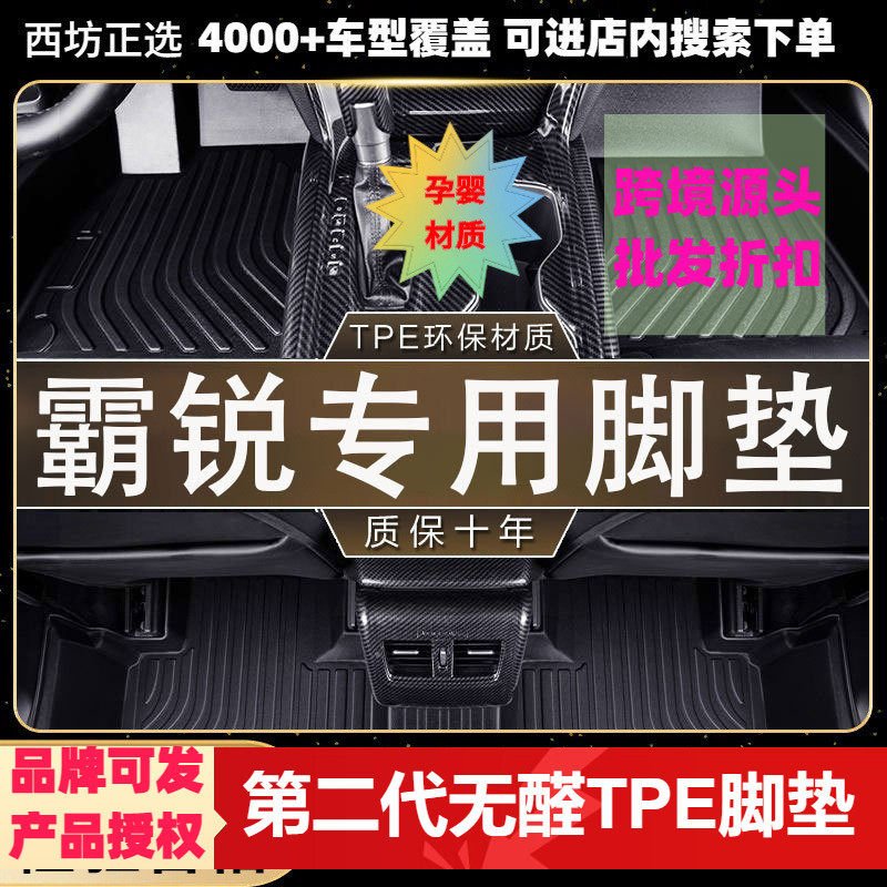 起亚霸锐专用环保TPE汽车脚垫全包围批量供货厂家直销