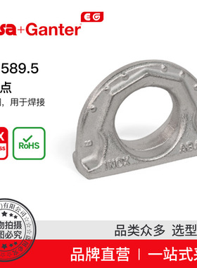 Elesa Ganter伊莉莎冈特 GN 589.5 起吊点 不锈钢用于焊接