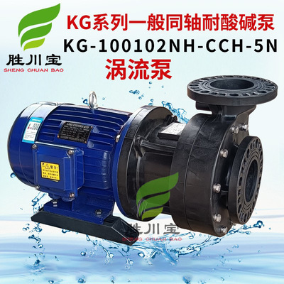 胜川宝KG-100152NH-CCH-5N同轴涡流泵化工泵离心泵11KW排污泵