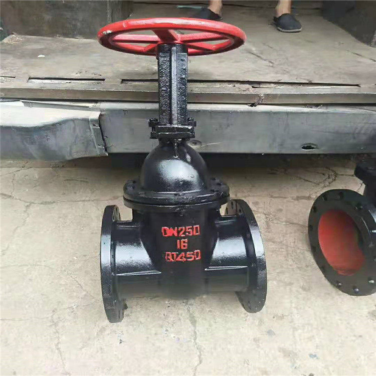Z41T 铜芯铸铁闸阀 DN200 Z41T-16Q 法兰闸阀