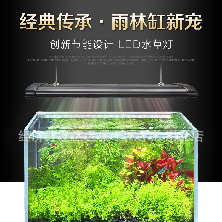 奥德赛LED灯evo鱼缸灯夹灯雨林缸水草缸鱼缸海水灯珊瑚灯架灯3W