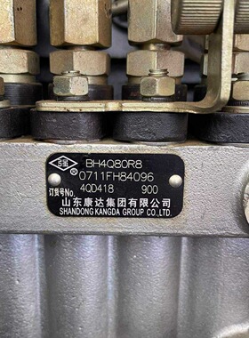 康达油泵总成 BH4Q80R8 订货号 4QD418 原厂油泵