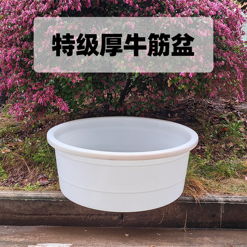 80cm钢化塑料盆洗澡盆大人洗被子盆大号牛筋圆盆加厚大容量盆王