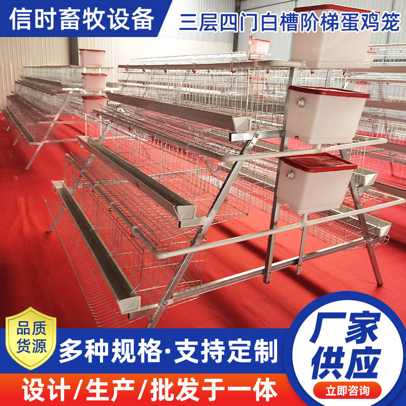 三层四门a型阶梯蛋鸡笼加厚方管层叠式鸡舍养殖场专用鸡笼架子