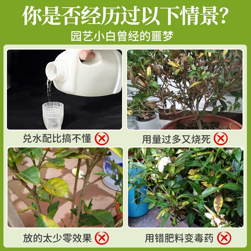 栀子花专用营养液叶子发黄盆栽专用肥料水培酸性开花肥液体肥