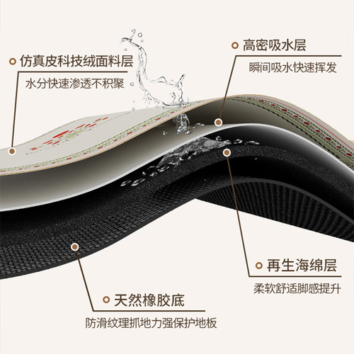 门口脚垫地垫进门入户门垫耐脏硅藻泥地毯家用入户防滑入门垫子