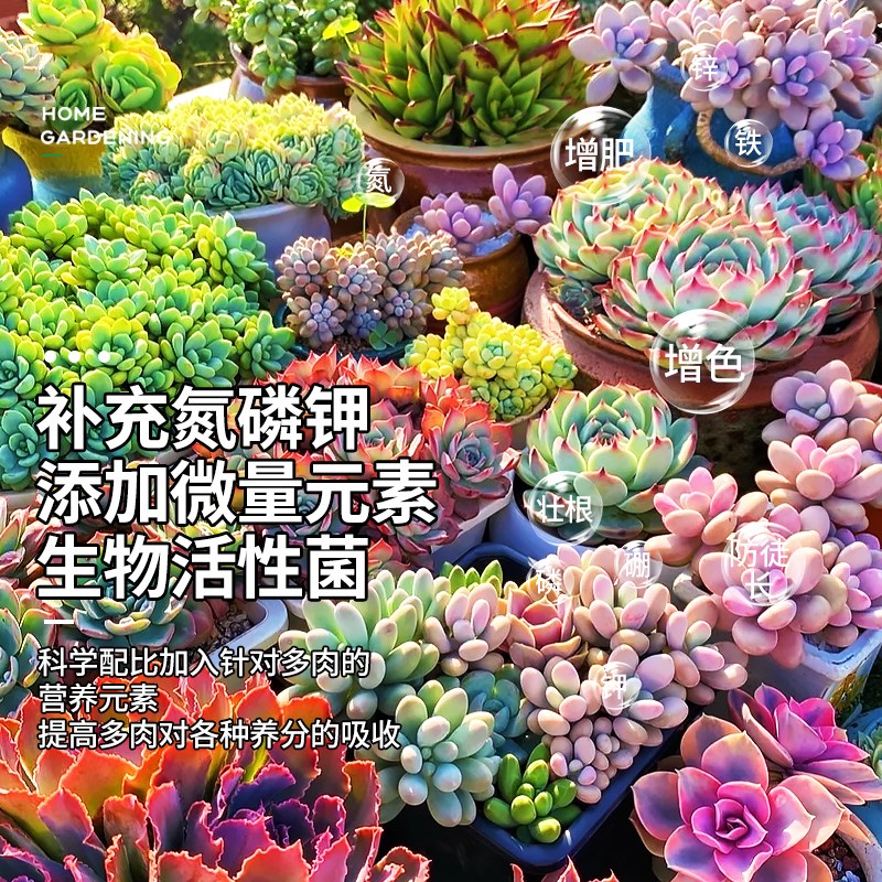 多肉营养液专用肥优芽素植物通用型生根矮胖素上色剂增色剂花肥料