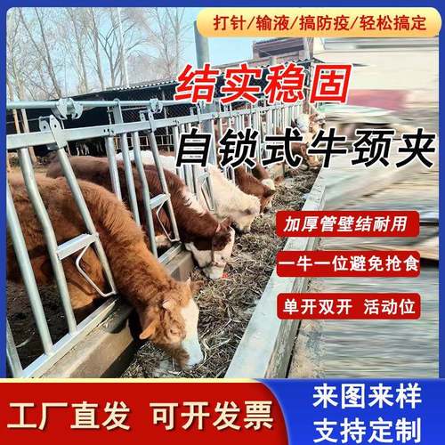 牛颈夹配件牛颈枷牛卧床羊颈夹配件牛场栏位单开双开牛场设备