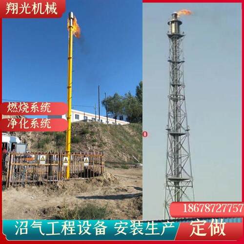 垃圾废弃燃烧沼气火炬养猪场养牛场沼气燃烧火炬整套配置