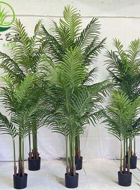 仿真散尾葵树2米造景室内假植物凤尾葵装饰道具摆件贵妃葵