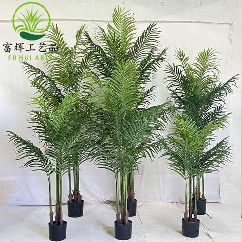 仿真散尾葵树2米造景室内假植物凤尾葵装饰道具摆件贵妃葵