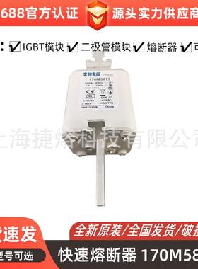 170M5813170M5959快速熔断器保险丝电子元器件量大价优