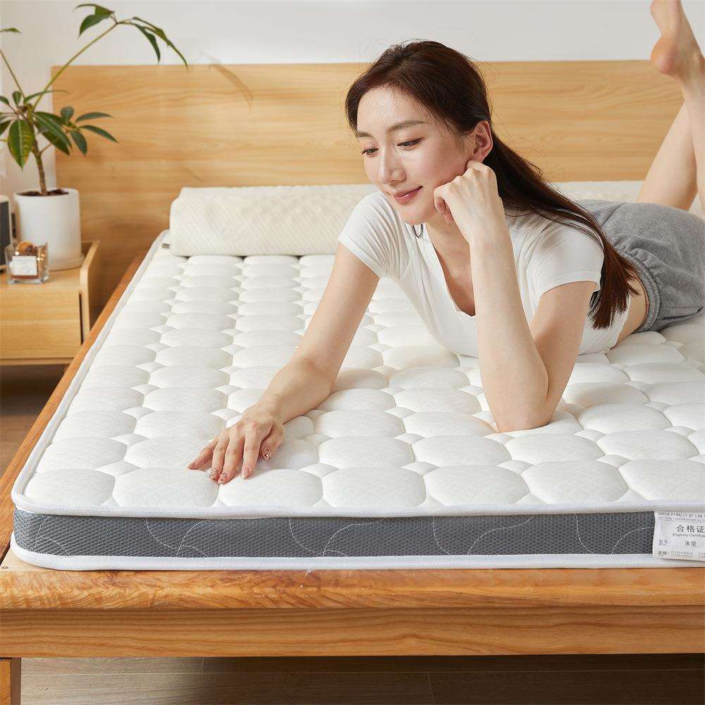 亲肤针织棉椰棕垫5D透气可折叠舒适简约0.9m-2.0m床垫席梦思床品