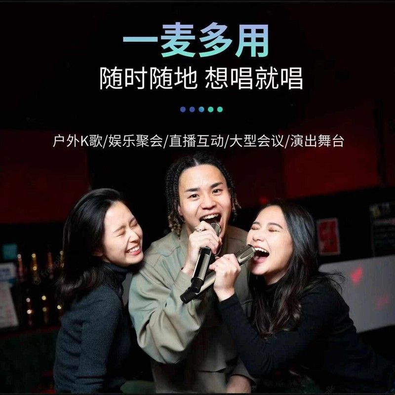 CQA3318 无线麦克风一拖二直播专用声卡套组 舞台K歌心型指向麦克图片