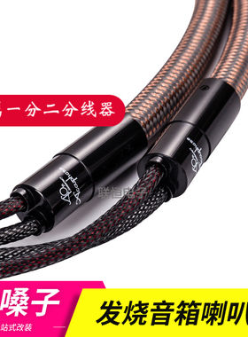 Accuphase金嗓子发烧级喇叭线hifi 音响线主音箱线功放音箱连接线