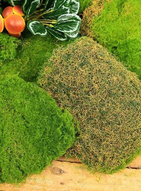 短绒苔藓微景观青苔铺面幼儿园阳台室内造景植物仿真石人造绿植