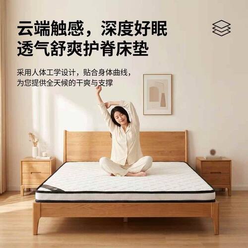 环保3E椰棕床垫护脊护腰加硬天然棕垫1.8m家用久睡不塌