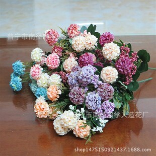 速发球菊 风信子 花球 客厅 饰品 摆放花艺 园林花艺装绿化工程