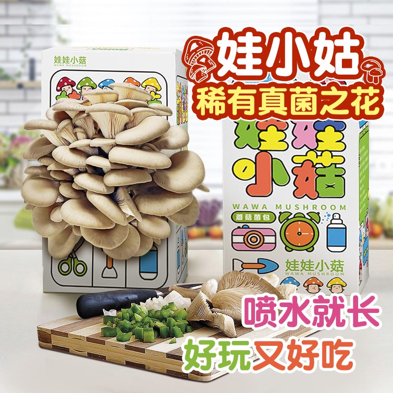 蘑菇盒子种植包儿童植物小盆栽学校桌面益智类趣味神奇菌菇包