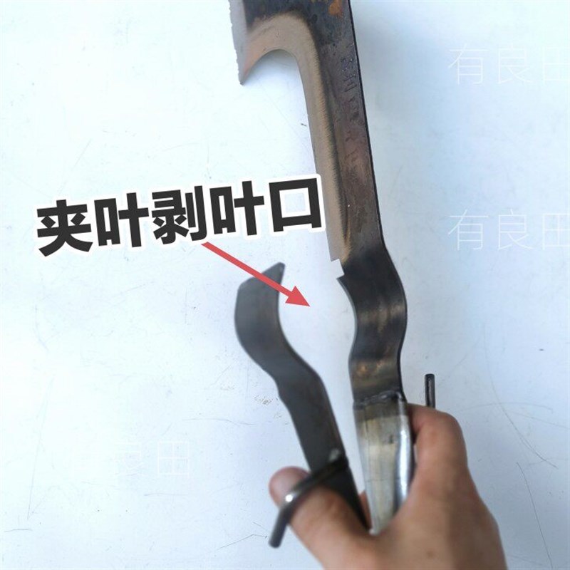 速发砍收甘蔗夹叶刀快速高效多用途手动推削剥甘蔗叶子修甘蔗专用