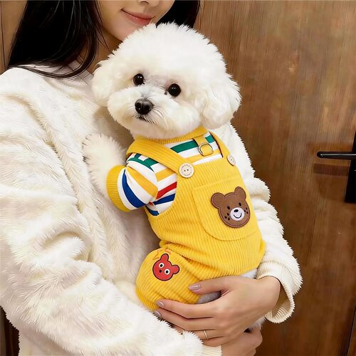 狗狗衣服秋冬装小熊背带裤泰迪比熊雪纳瑞小型犬宠物四脚衣可牵引