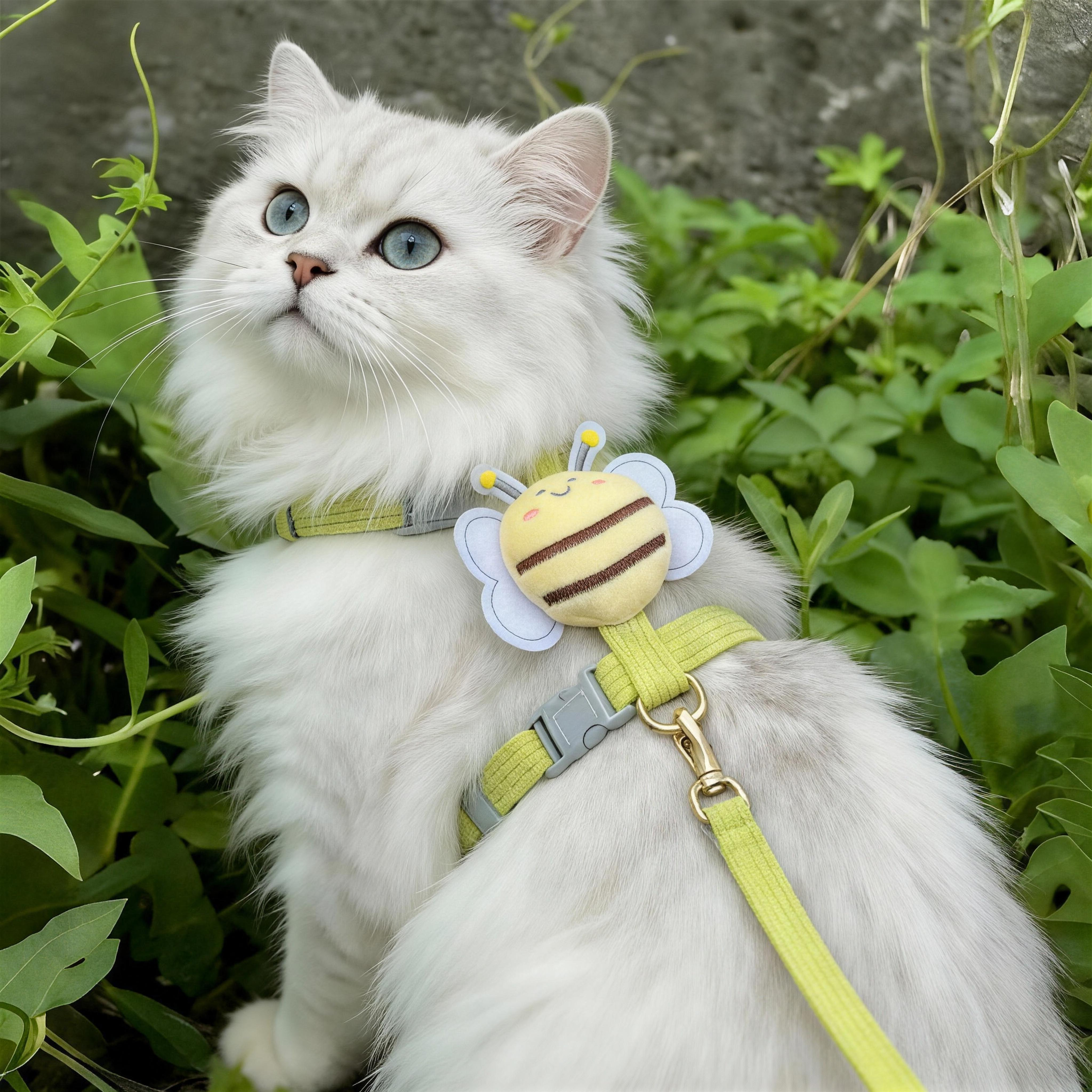 猫咪牵引绳防挣脱外出遛猫绳猫链子小狗胸背带兔子幼猫宠物专用,宠物/宠物食品及用品,猫牵引绳,淘宝优惠券,粉丝福利购,淘宝优惠卷