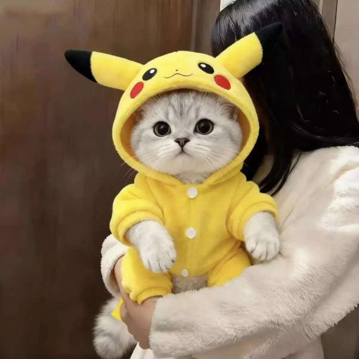 猫咪衣服冬装皮卡丘连帽变身装