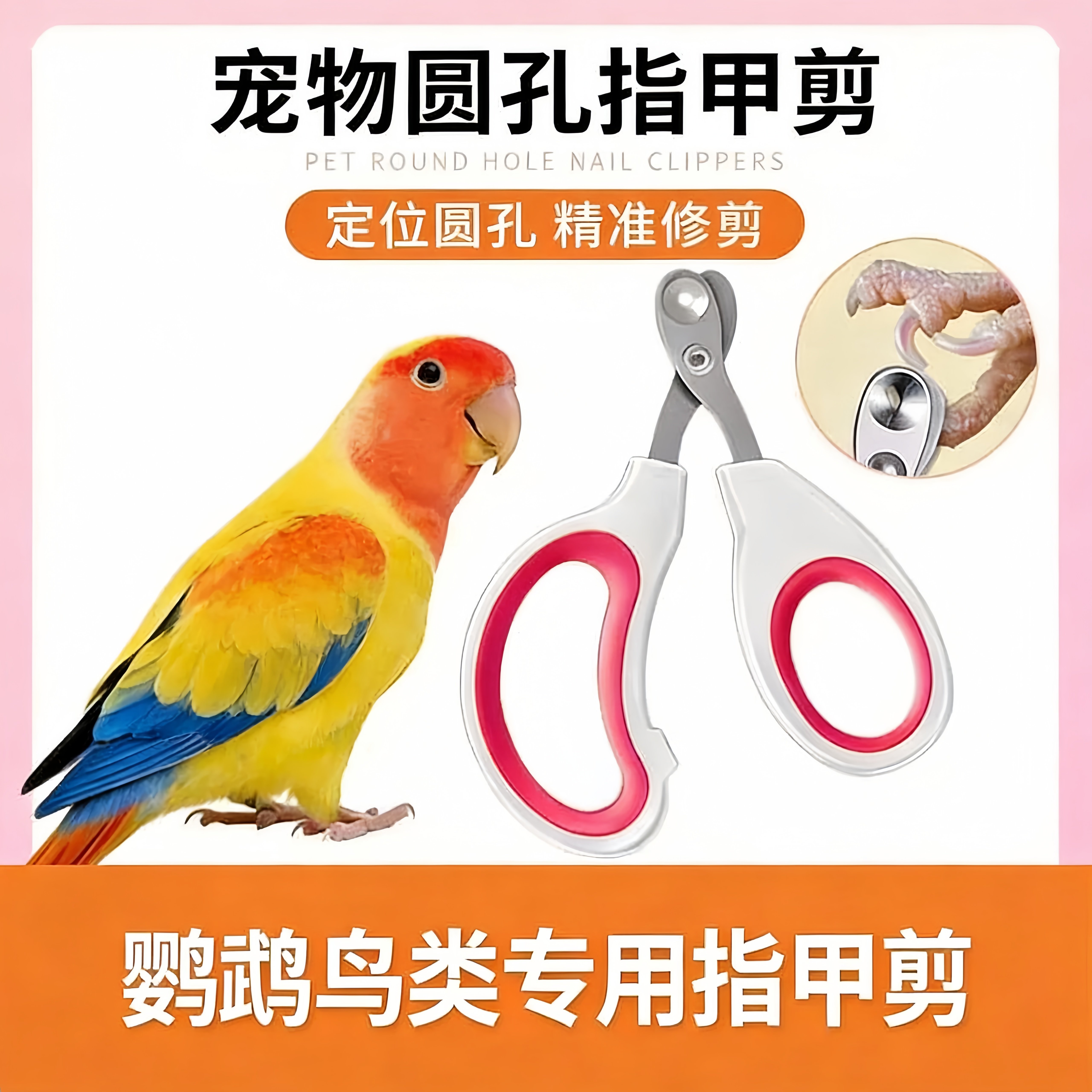 鹦鹉专用指甲剪爪子鸟用指甲新手