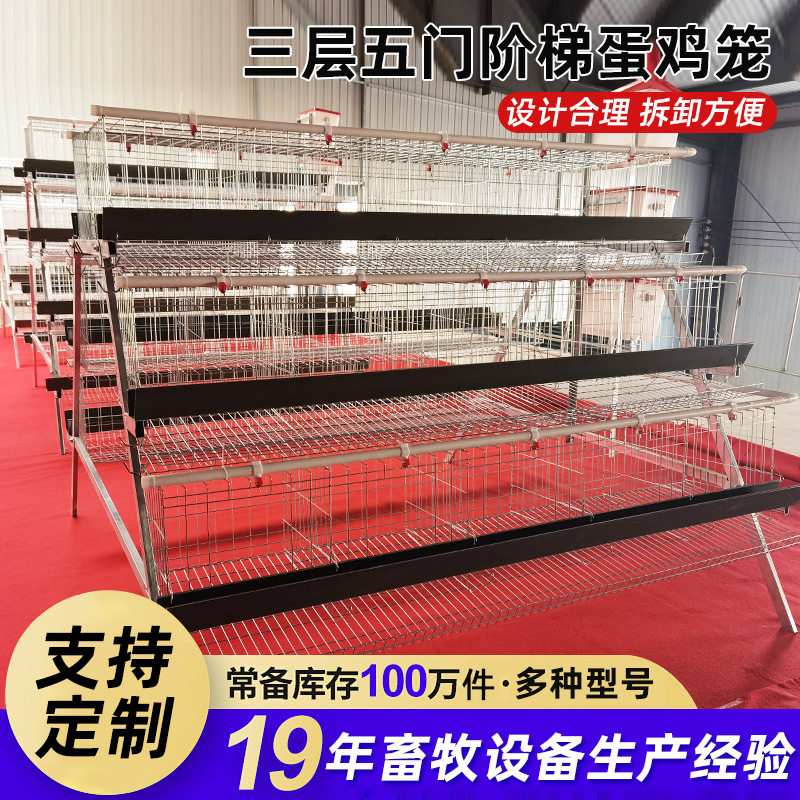 阶梯蛋鸡笼厂家养殖场多层阶梯式养鸡笼三层四层自动出蛋养鸡设备