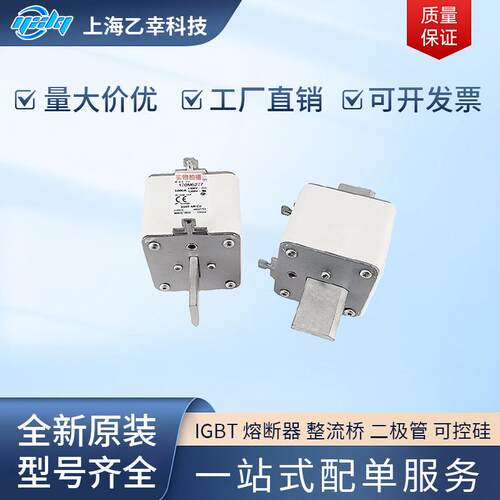 巴斯曼熔断器170M6261170M6262170M6263170M6264170M6265